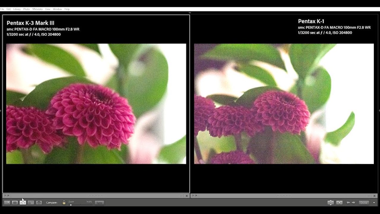 Pentax K-3 Mark III vs. K-1 Mark I: ISO Comparison