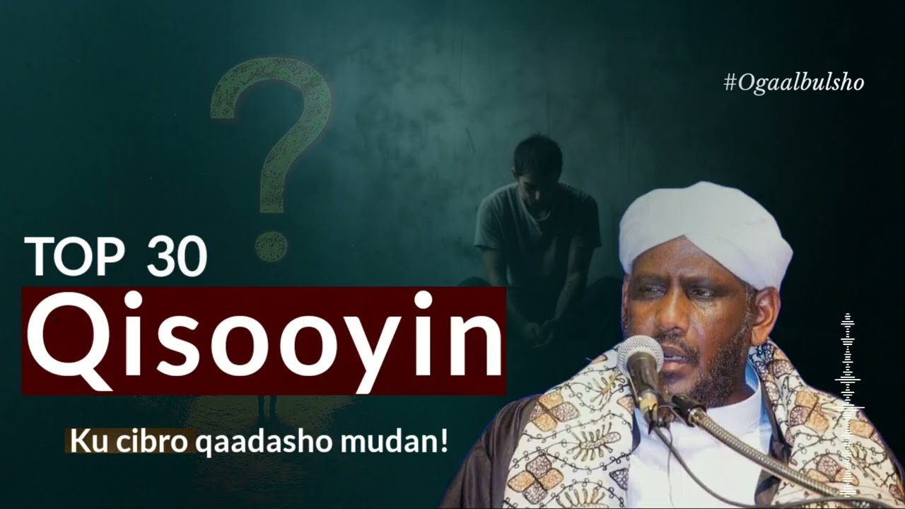 30+ QISOOYIN Saameyn leh noloshaadana saameyn doona || Sheekh Saalax Macalim