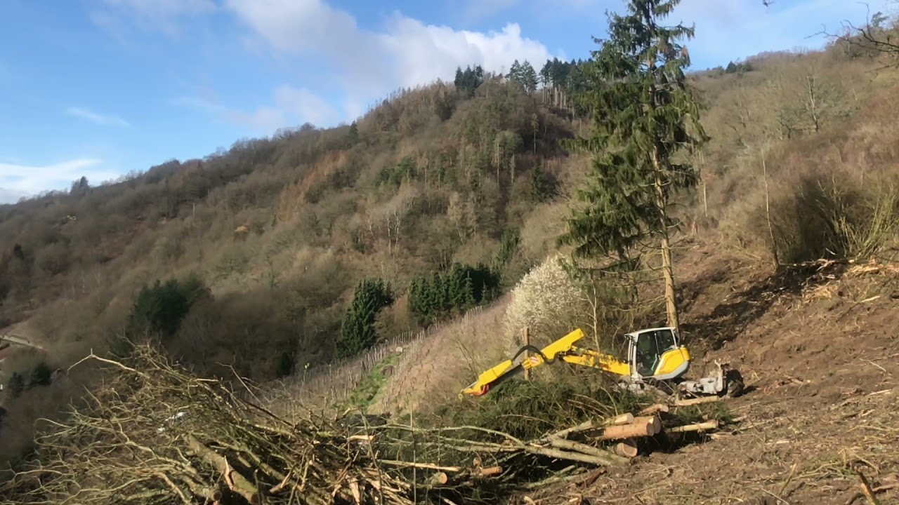 Menzi Muck M545 cutting some trees!