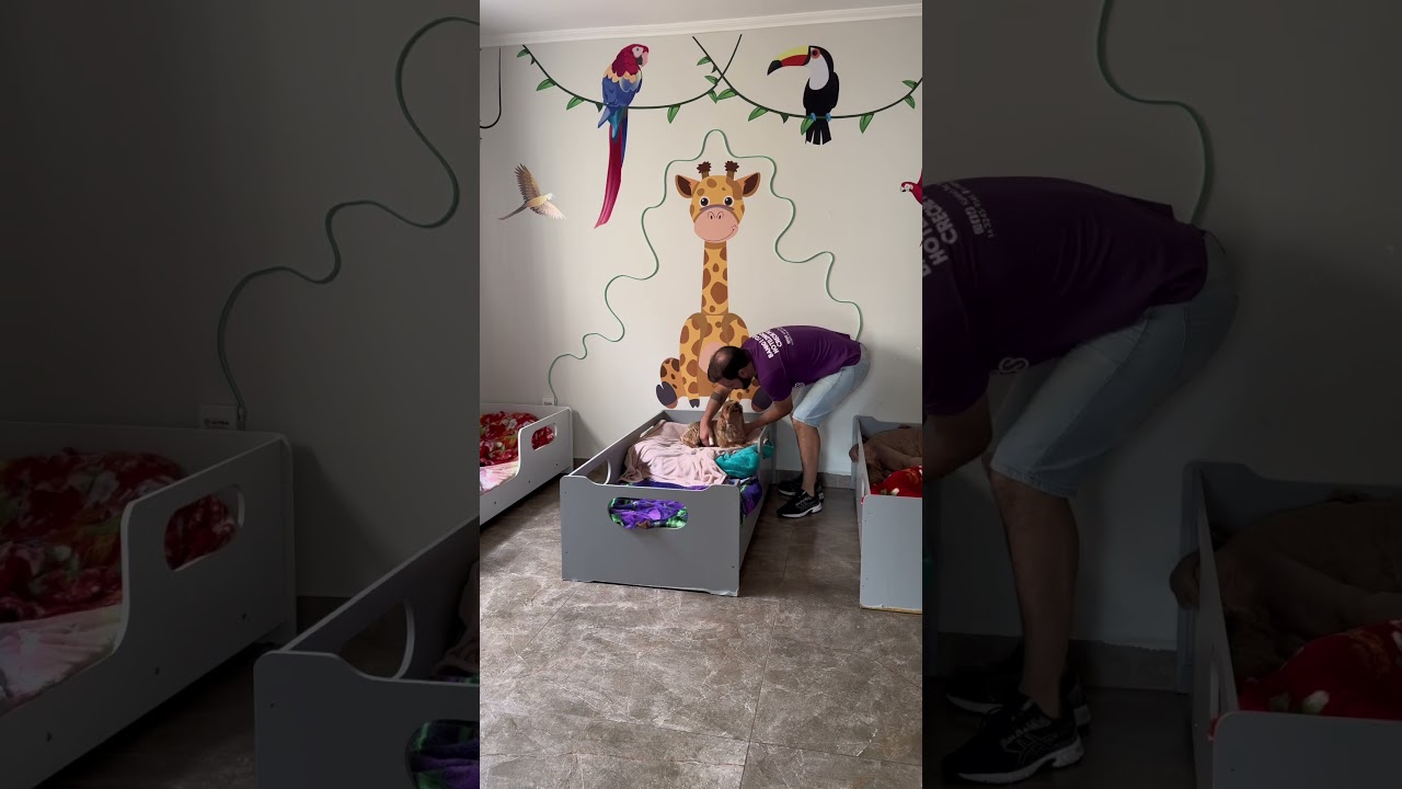 Um s&aacute;bado na creche e hotel pet  #hospedagempet #rotinapet #crechecanina