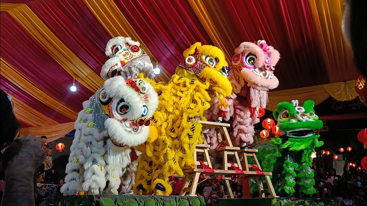 Barongsai HBT - Pasar Malam Imlek 29 Januari 2026