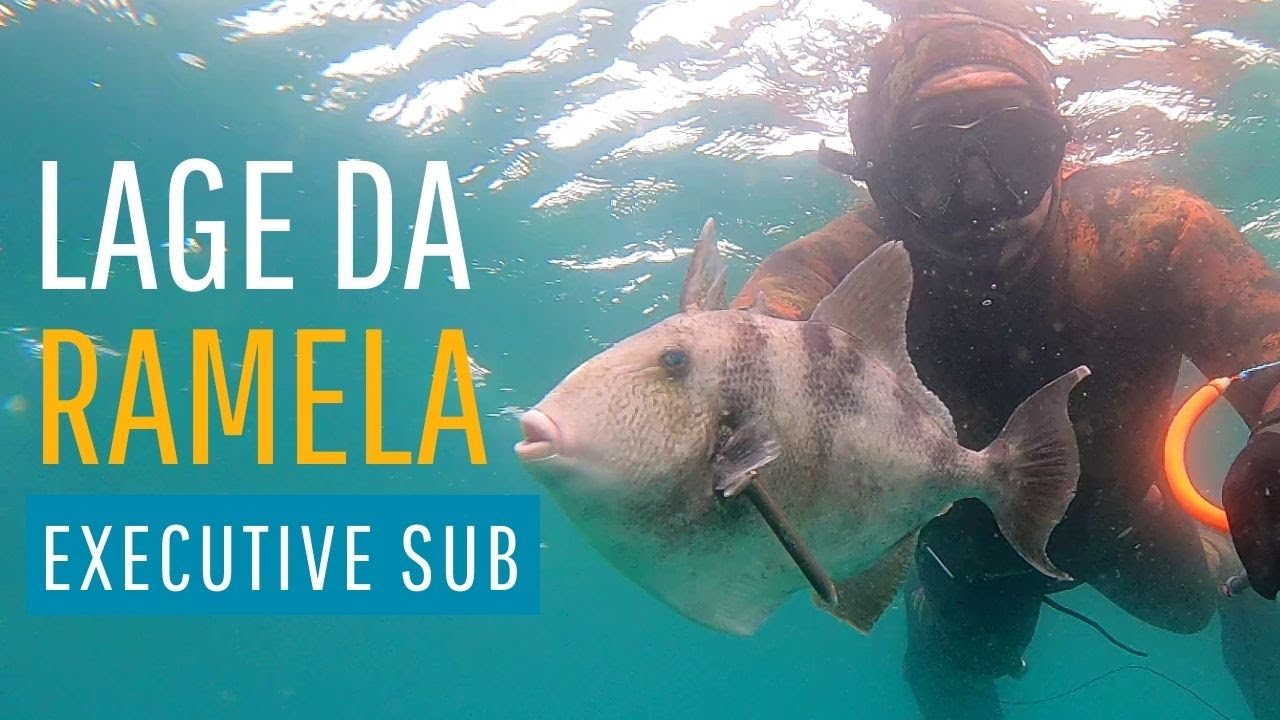 Volta na Lage da Ramela (Spearfishing Cascais)