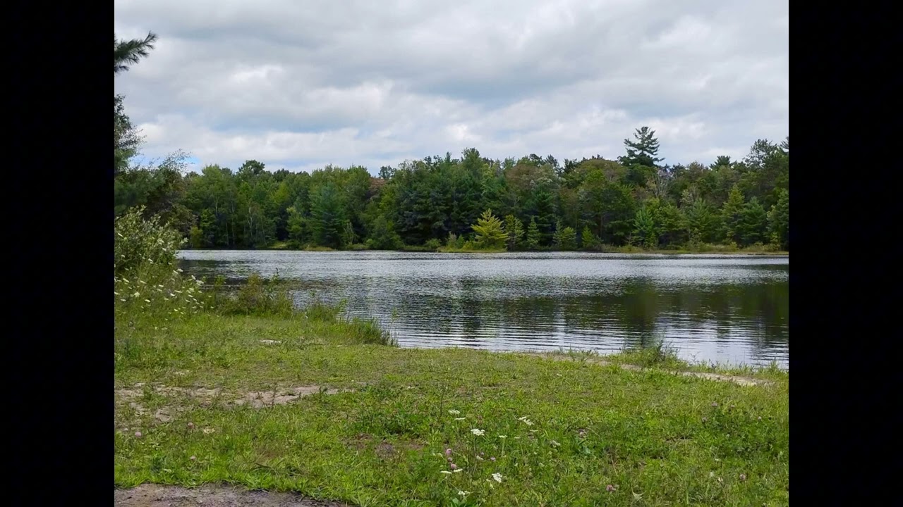 Turtle Pond Memories