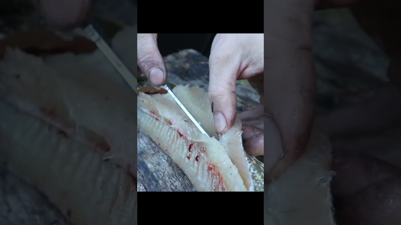 Как разделать грязную щуку