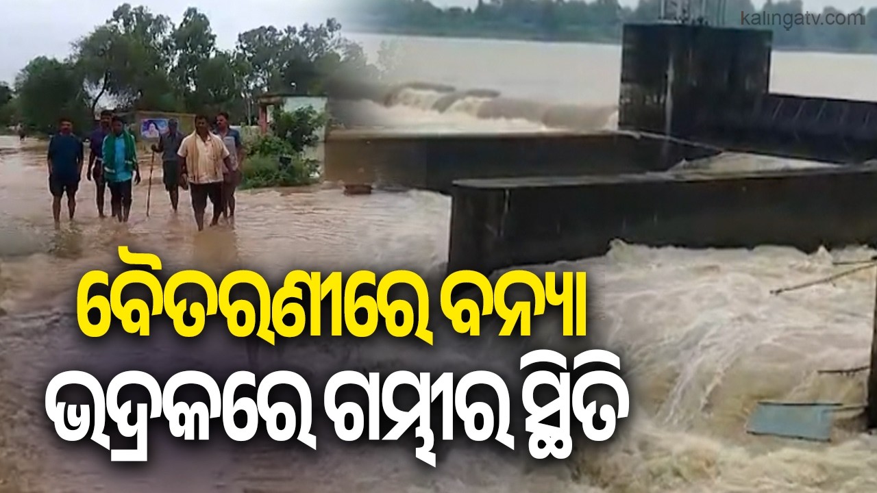 Bhadrak Reels Under Flood Threat as Baitarani Overflows | KalingaTV 