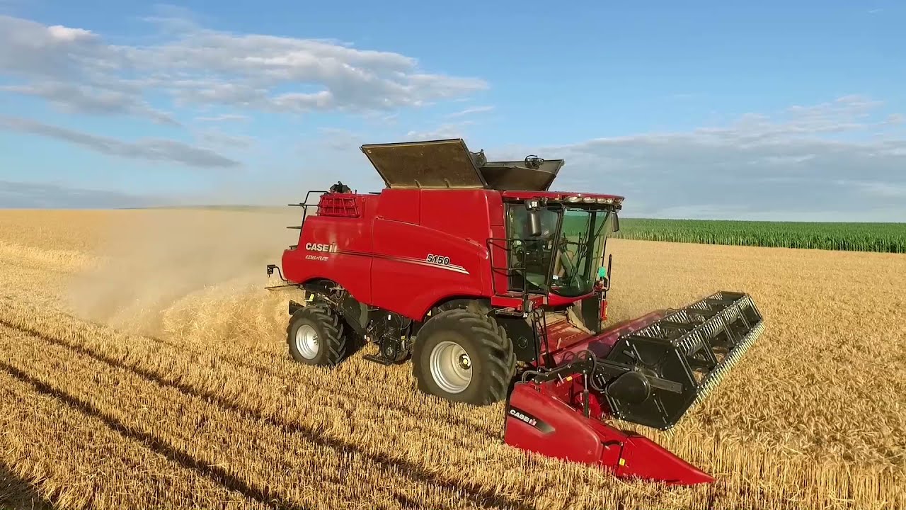 Case IH Axial-Flow 5150 u južnom Banatu, ŽETVA 2021.