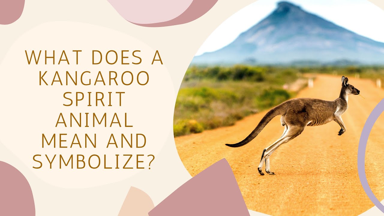 What Does a Kangaroo Spirit Animal Mean and Symbolize?