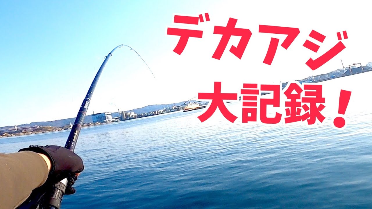 【遠投カゴ釣り】大記録更新！デカアジ連発でウキが沈みまくり！