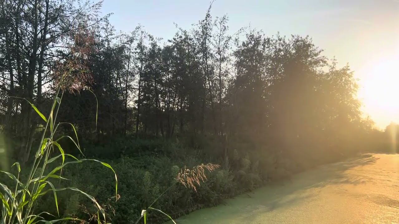 La natura