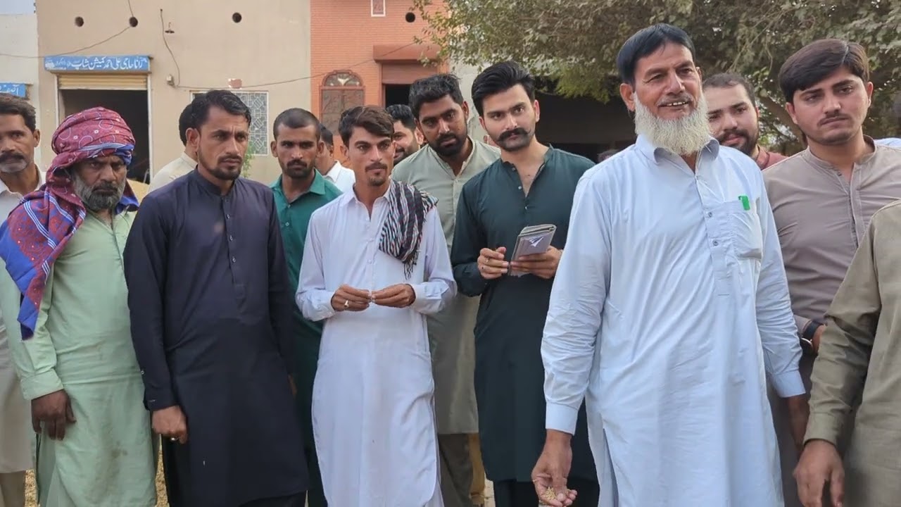 Munji Rate Today ll (1509)(سپری)(اری) rate update makki Rate Today 