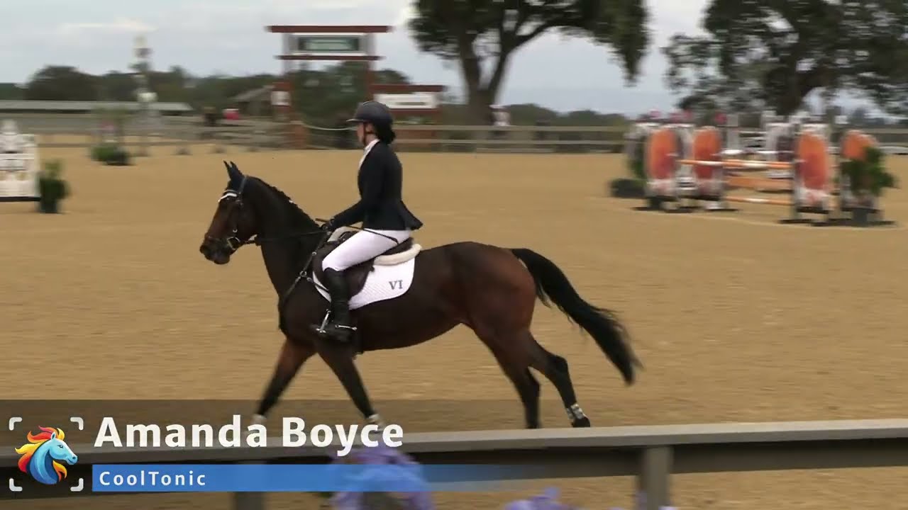 Amanda Boyce (CoolTonic) - Woodside Fall International October 2025 - Show Jumping