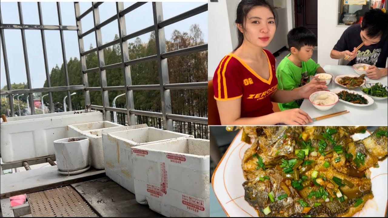 Lâu Nay S Ko Ra Video ,Nay TL Ở Nhà Nấu Cơm Qua Lại Trung Quốc Cây Cối Chết Không Còn Cây Nào 