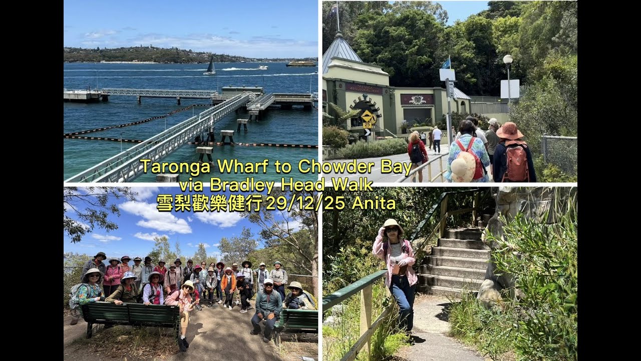 Taronga Wharf to Chowder Bay via Bradley Head Walk 雪梨歡樂健行 29/12/25 Anita