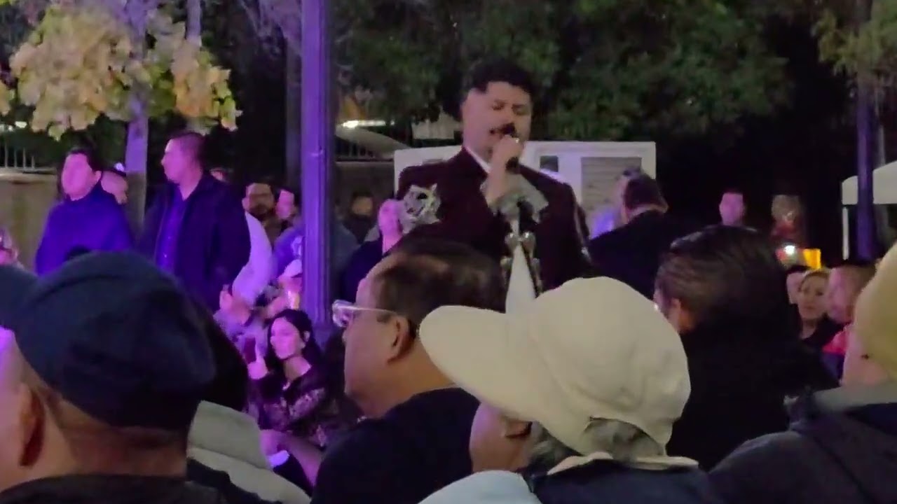 Mi eterno amor secreto