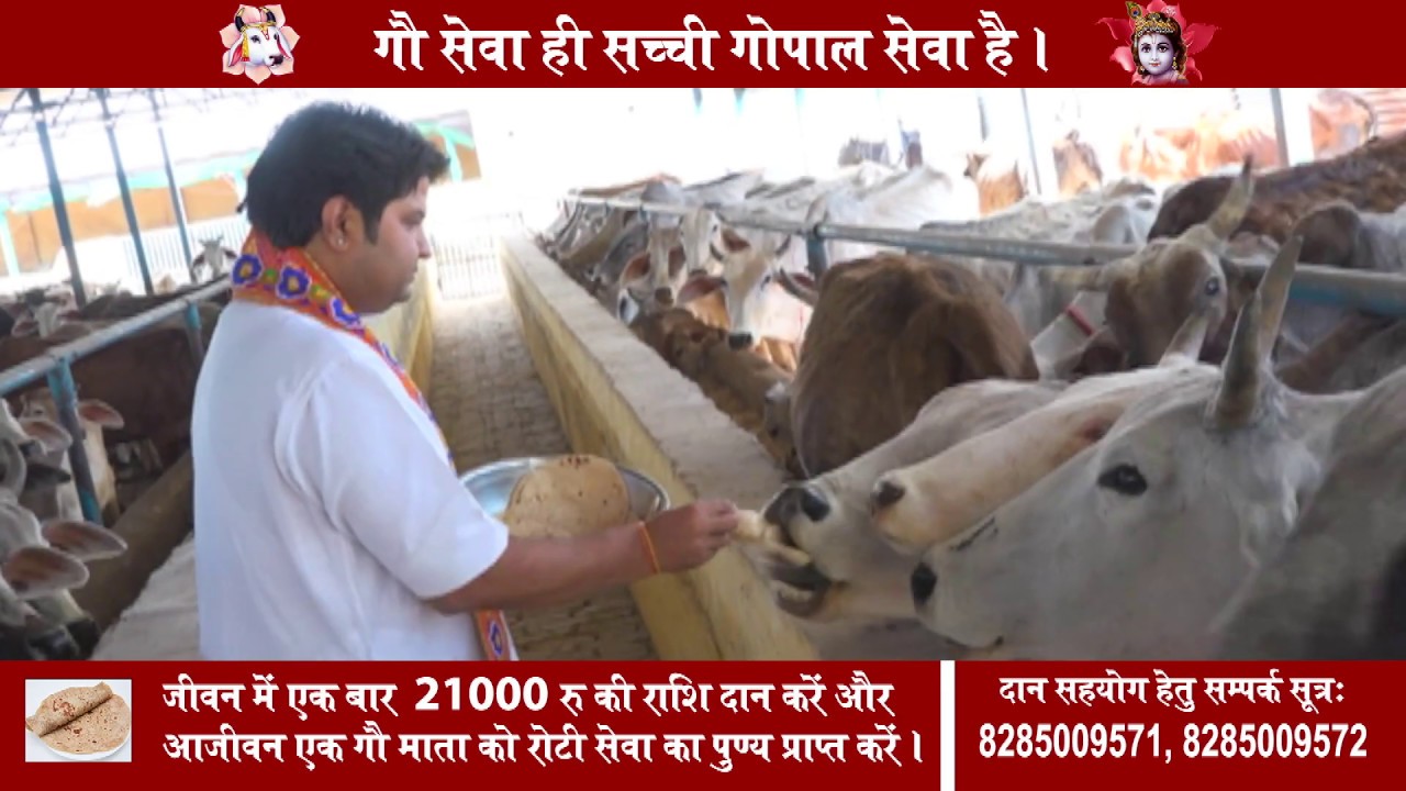 Samarpan Gaushala || Gau Seva Documentary India - 2019