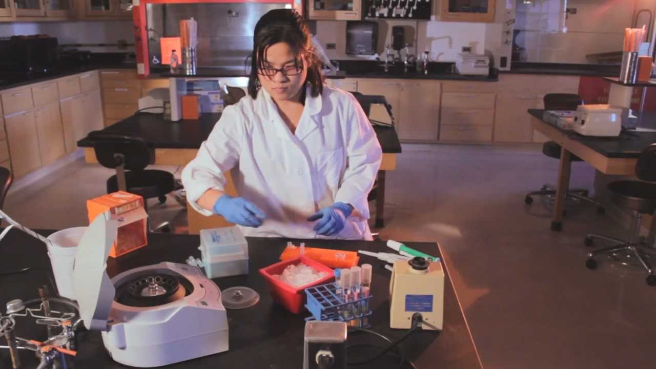 Isolating Plasmid DNA