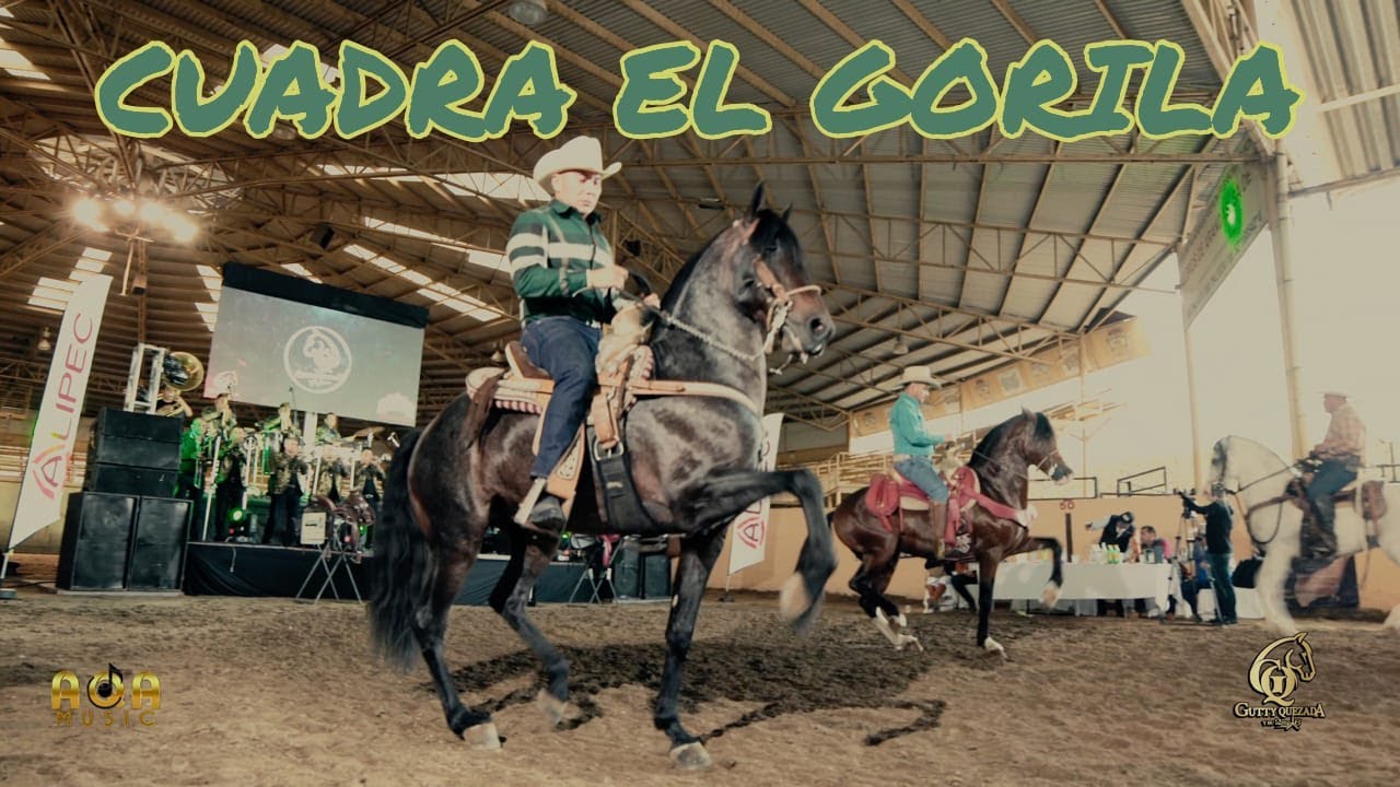 Cuadra El Gorila