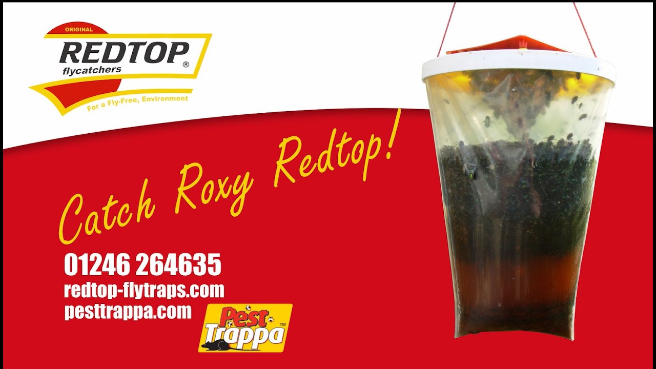 The Redtop Fly Trap - Catch Roxy Redtop Around Your Farm