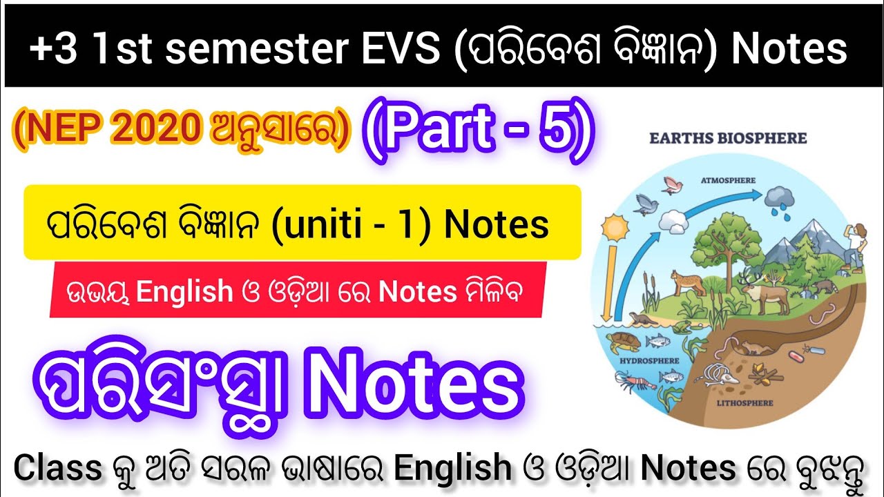 +3 1st Year Compulsory Subject || EVS NEP 2020 || EVS Notes parisanstan (Ecosystem)|| part - 5 ||
