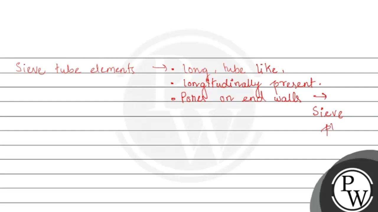 A common structural feature of vessel element and sieve tube element is (A) thick secondary wall...