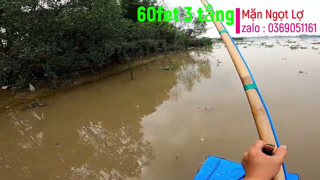 Thực Tế Máy 60fert 3 Tầng Mặn Ngọt Lợ . Báo Cá Trẽm .