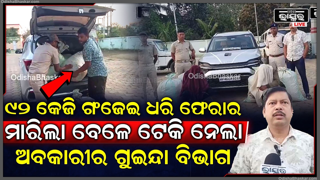 ୯୨ କେଜି ଗଂଜେଇ ଧରି ଫେରାର ମାରୁଥିଲେ ଫେରାର ଖବର ପାଇ ଟେକି ଆଣିଲା ଅବକାରୀର ଗୁଇନ୍ଦା ବିଭାଗ