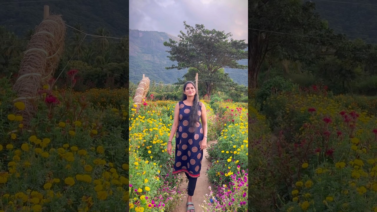 📍Kollengod✨✨ #travel #viral #nature #palakkad #kollengode_pkd #keralatourism #kollengode #travel