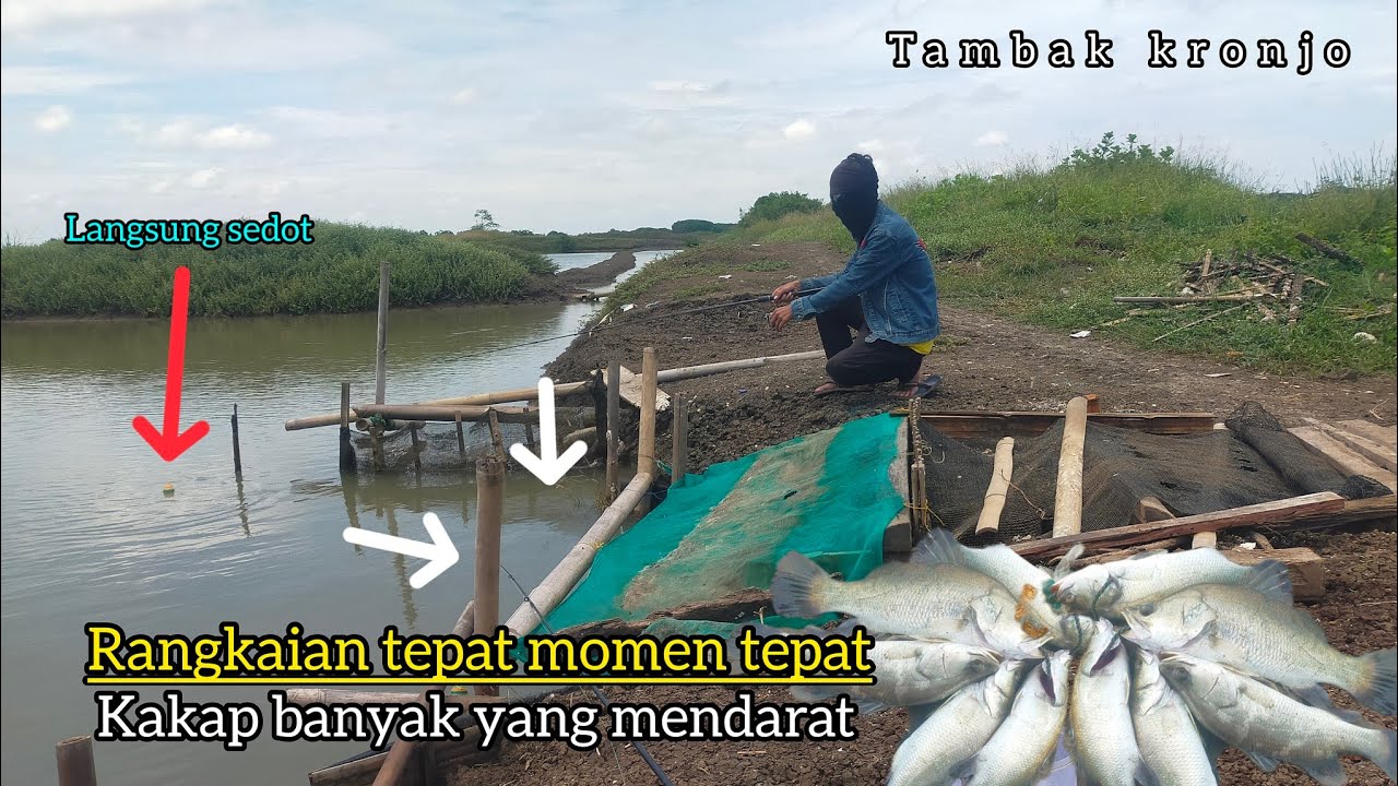 BEGINI JADINYA MANCING KAKAP DI MOMEN YANG TEPAT !!