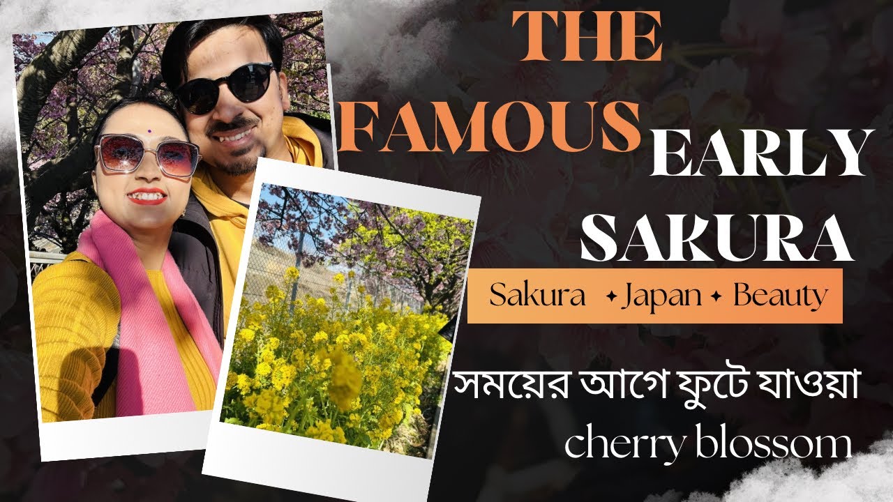 জাপানের ভাইরাল জায়গায় সময়ের আগেই ফুটে যাওয়া cherry blossom দেখলাম #banglavlog #vlog #youtube