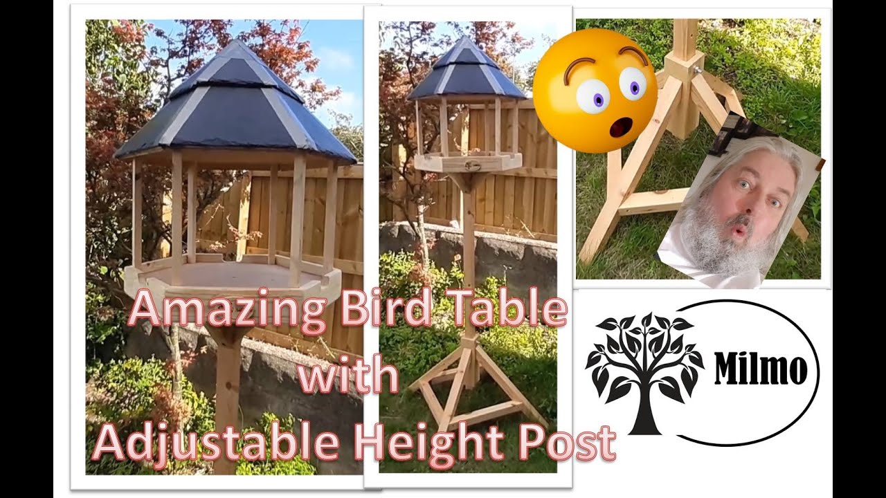 How to Make a Bird Table with Adjustable Height Pole