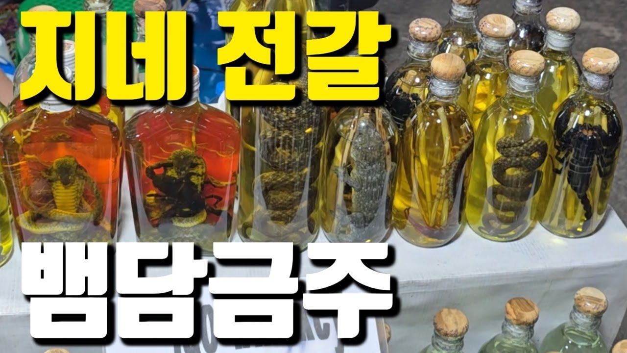 68살 영감, 라오스 루앙프라방 야시장 구경, 월세방 구할 수 있을까? 독거노인