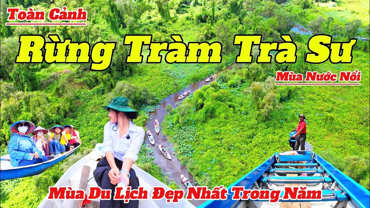 Toàn Cảnh Rừng Tràm Trà Sư Mùa Nước Nổi 2025 | Mùa Du Lịch Đẹp Nhất Trong Năm