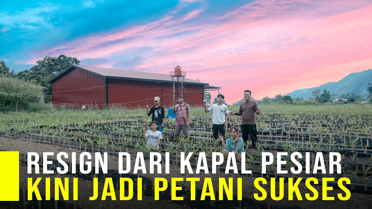 Resign dari Kapal Pesiar Kini Sukses Petani Jahe Merah dan Memberdayakan Warga Sekitar