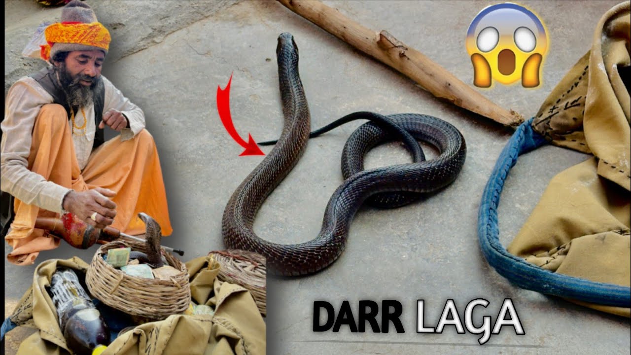 Baba NE DIKHAYA zinda saanp😨||@RishuVlogs16 ||