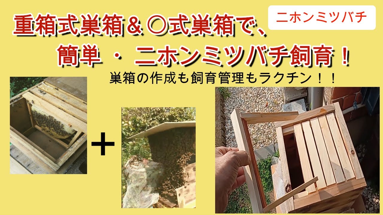 【趣味の養蜂】日本ミツバチ用の重箱式巣箱と〇式巣箱の長所を兼ねそろえた巣箱を作ってみました。これで、内検が楽になり、異常な状態をいち早く発見できるかも？？？