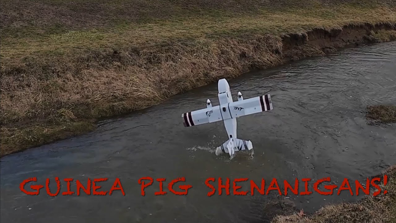 We did some stuff with my 3D Guinea pig what a blast!