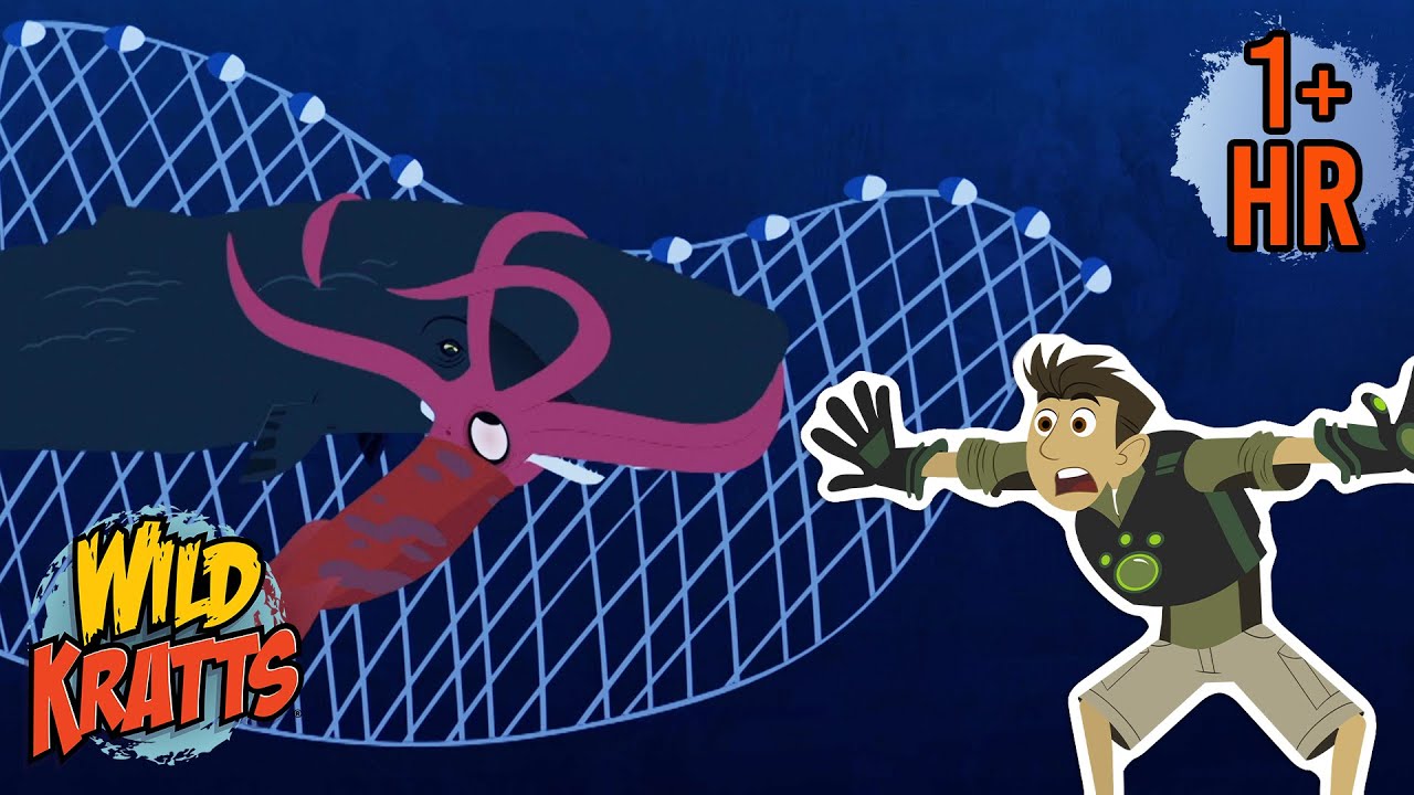 Rescuing a Trapped Whale | Creature Rescue | Wild Kratts