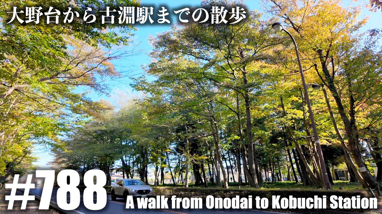 No.788【4K】大野台から古淵駅までの散歩（相模原市南区）