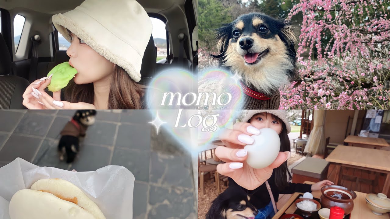 愛犬と過ごす休日vlog❕🐾