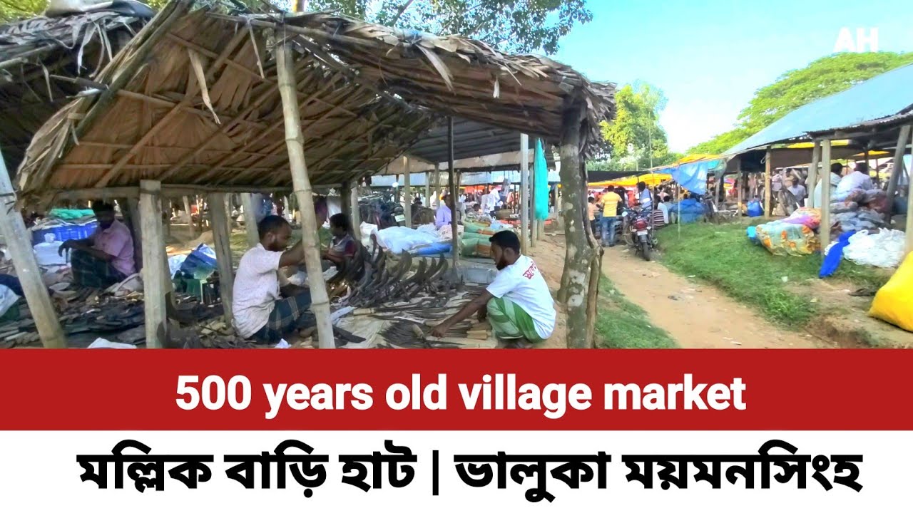 500 years old traditional village market || ৫০০ বছরের ঐতিহ্যবাহী পুরনো গ্রামীণ হাট মল্লিকবাড়ী বাজার