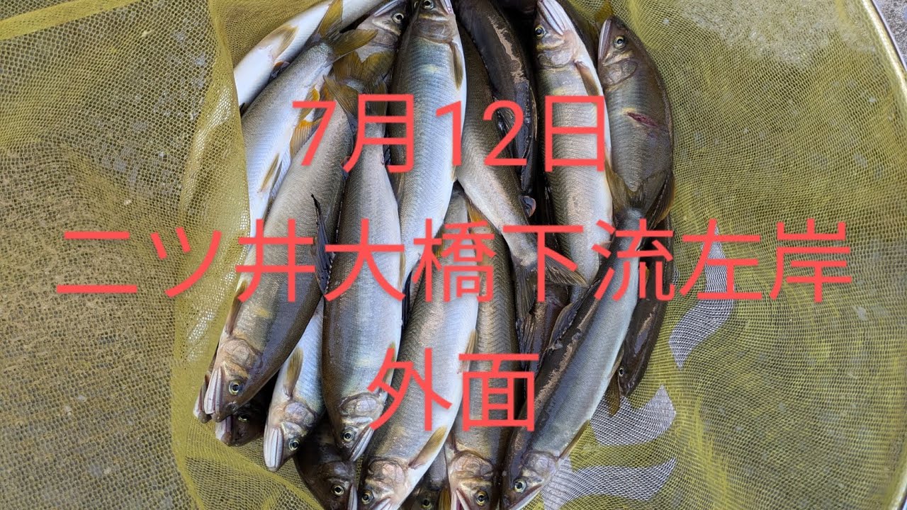 2025 米代川鮎釣り　外面