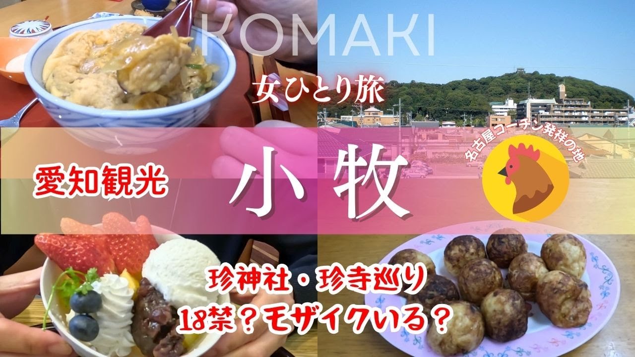 【女ひとり旅】名古屋コーチンって小牧⁉️絶品コーチン三昧に舌鼓｜モザイクなしでＯＫ？珍神社・珍寺に赤面｜老舗たこ焼き＆フルーツ専門店｜