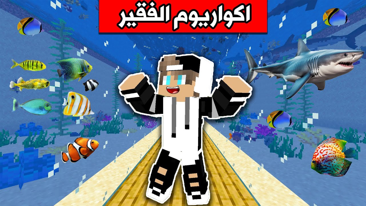 فلم ماين كرافت : بنيت اكبر اكواريوم بالعالم Minecraft movie