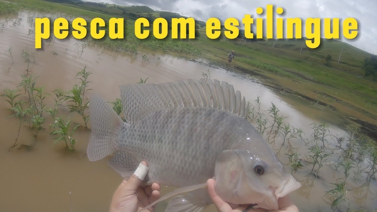 Estilingue de pesca garantindo o frito 🎯🎯🎯