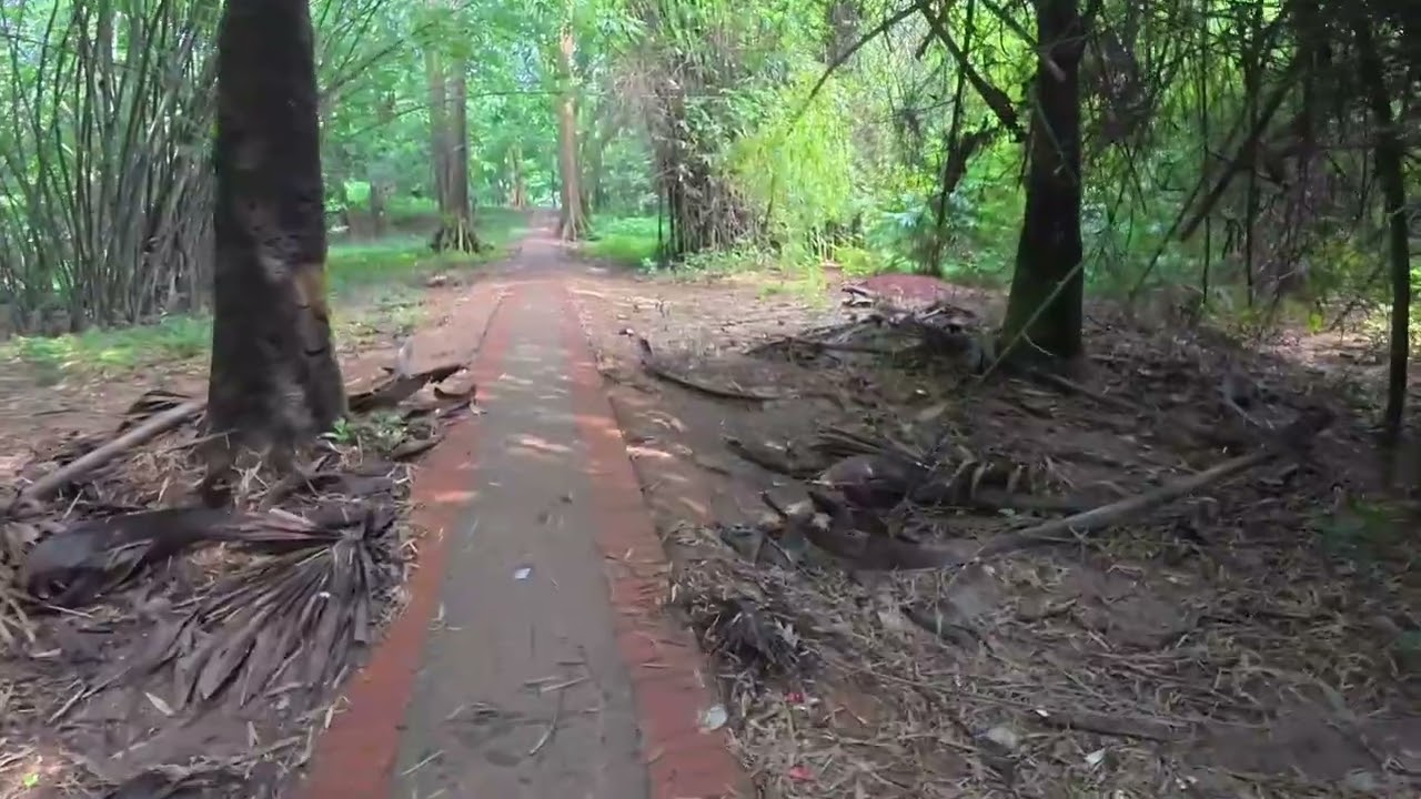 Peaceful Garden Walk  | Relaxing Nature & Trees