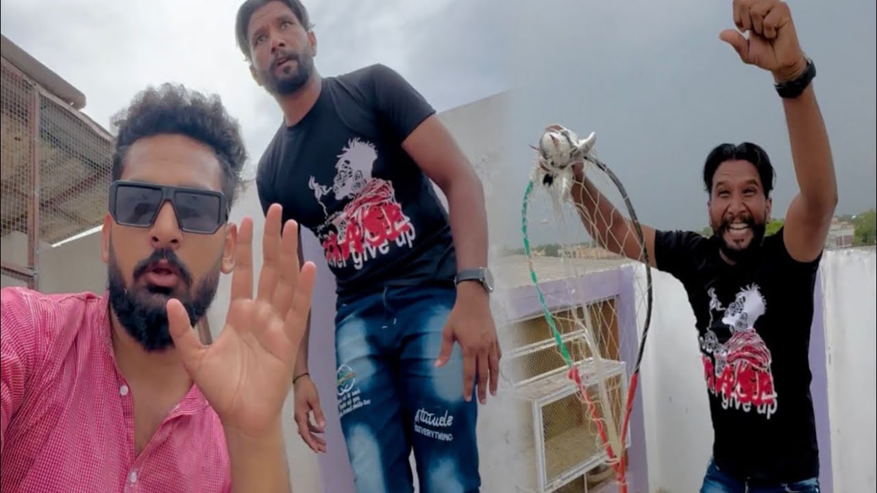 Aaj Kisi ka karbalai kabutar kaise pakda 😳
