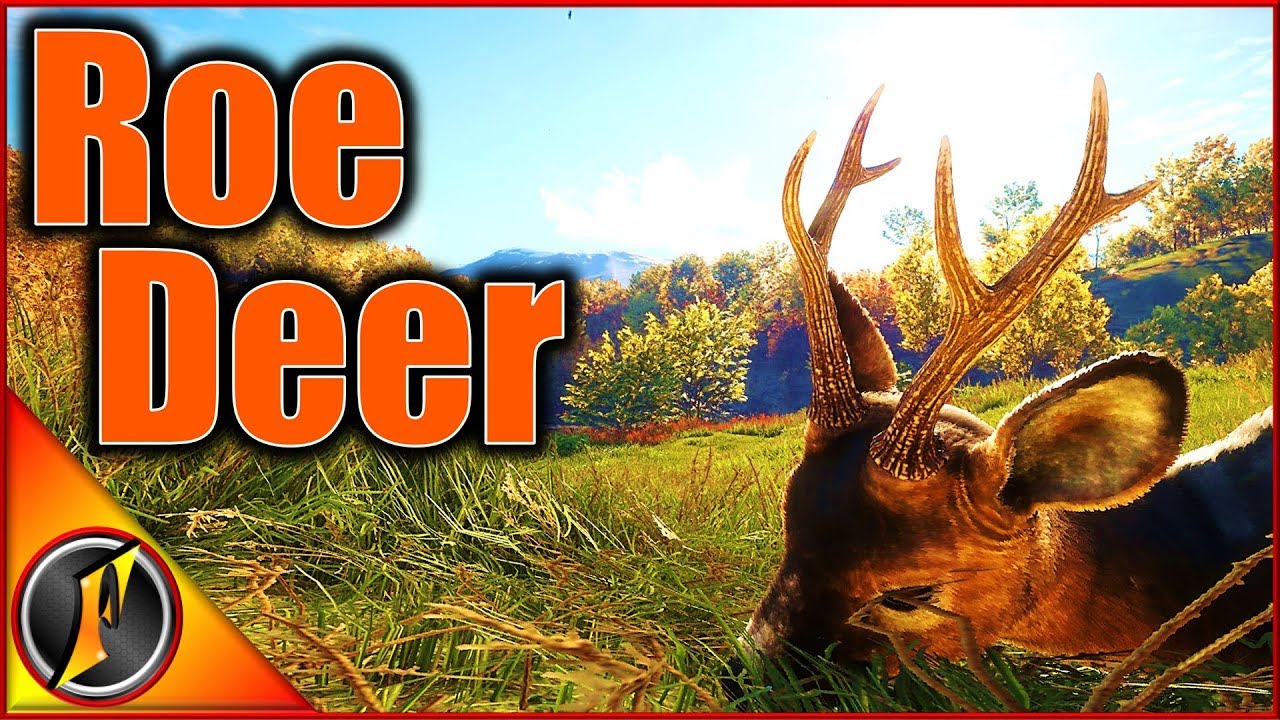 Legacy Diamond Roe Deer Hunt