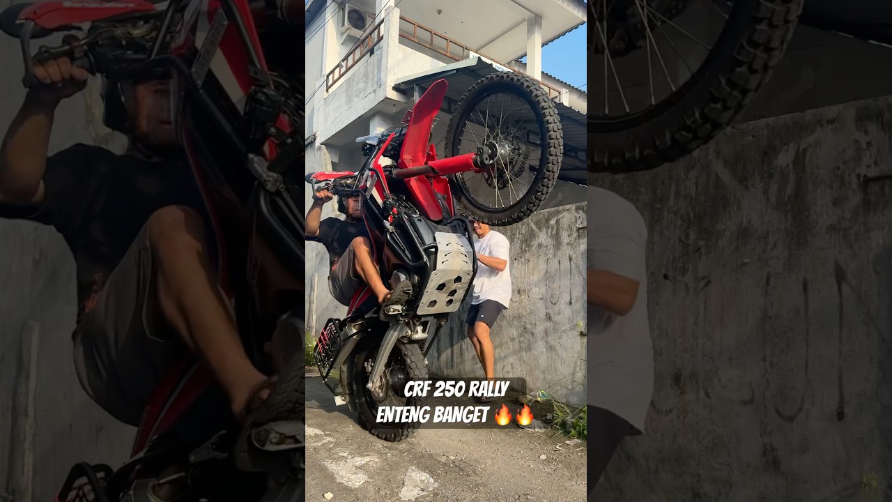 Honda CRF 250 RALLY Ringan