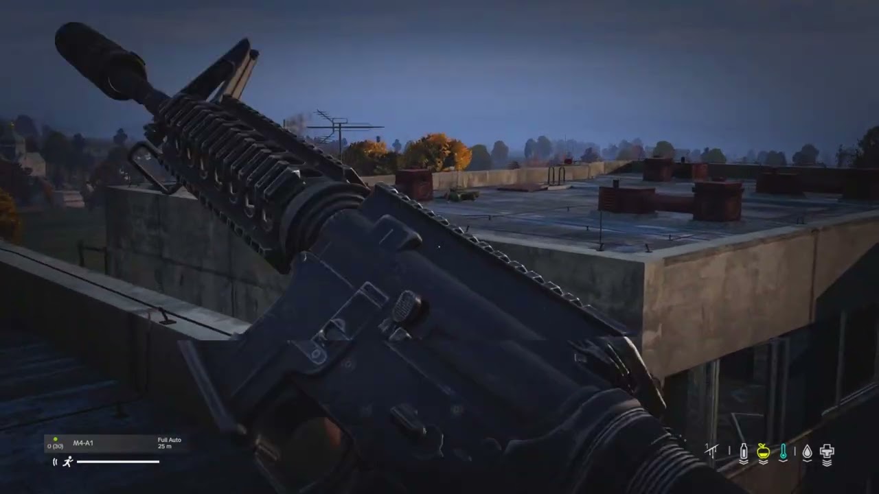 DayZ PS5 PvP