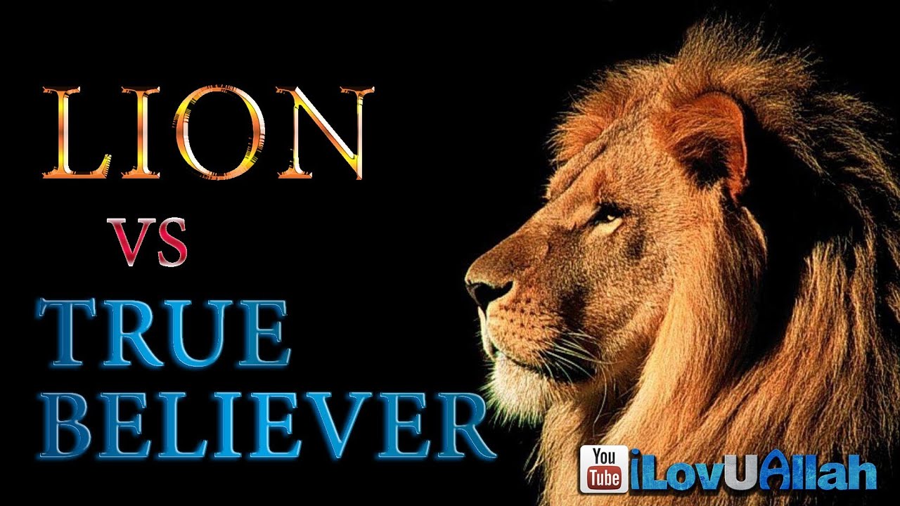 Lion vs True Believer ᴴᴰ | True Story